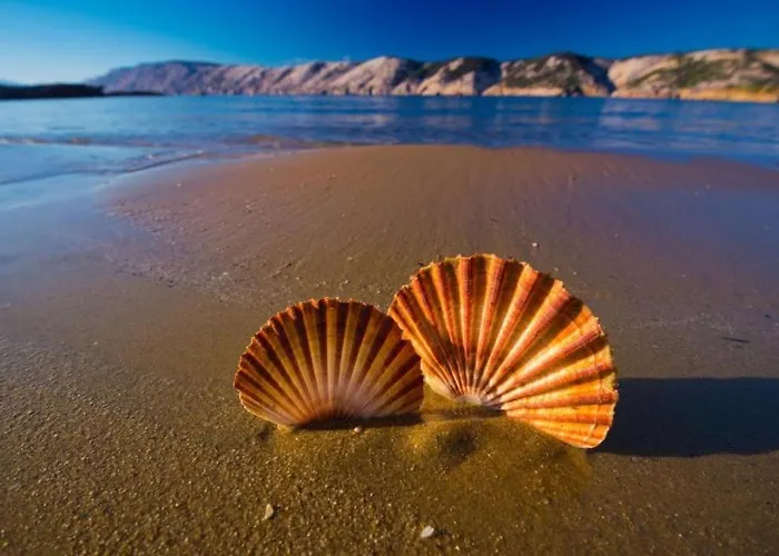 Апартаменты Dexi